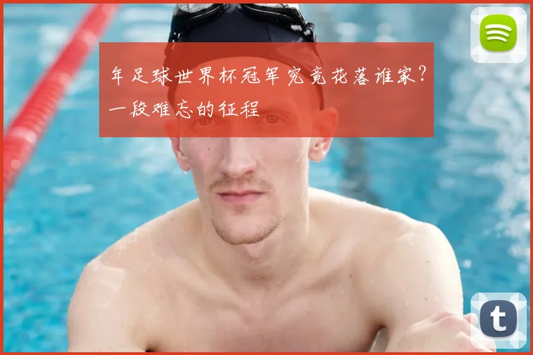 年足球世界杯冠军究竟花落谁家？一段难忘的征程