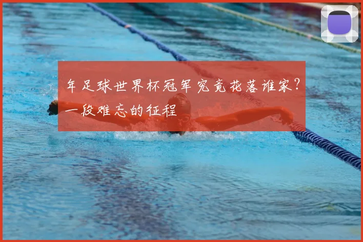 年足球世界杯冠军究竟花落谁家？一段难忘的征程