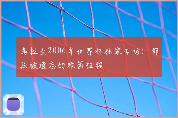 乌拉圭2006年世界杯独家专访:那段被遗忘的绿茵征程