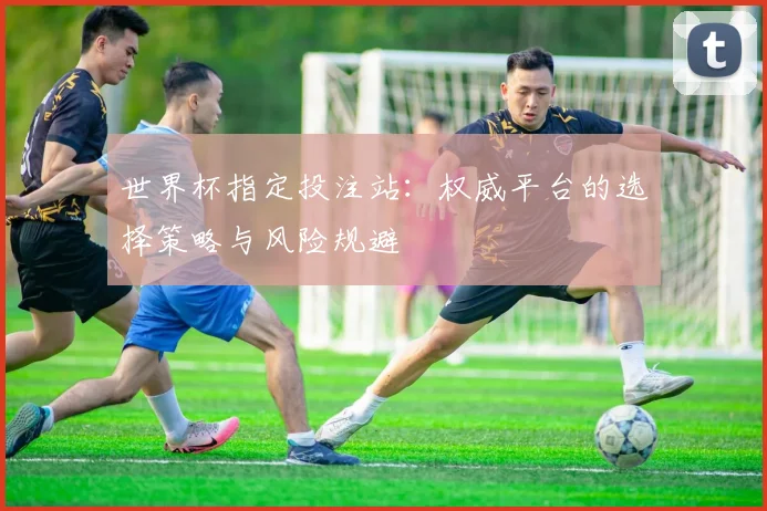 世界杯指定投注站：权威平台的选择策略与风险规避